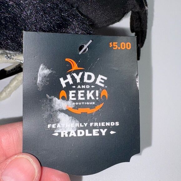 Target 2023 Featherly Friends Hyde and Eek Bird “Radley” NWT - Picture 6 of 6